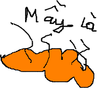 001.001